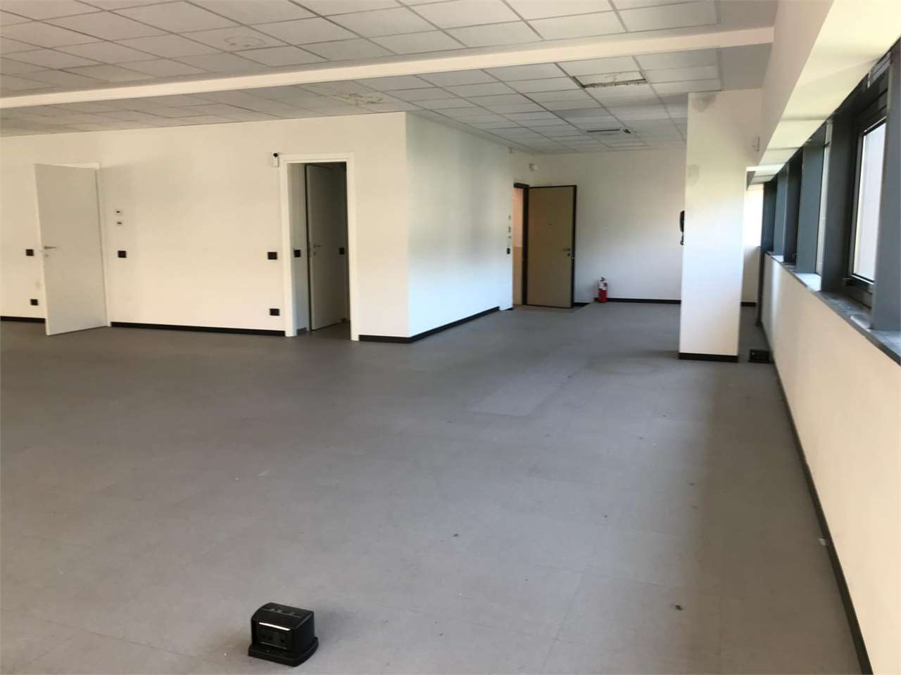 immagine annuncio 4 di 8