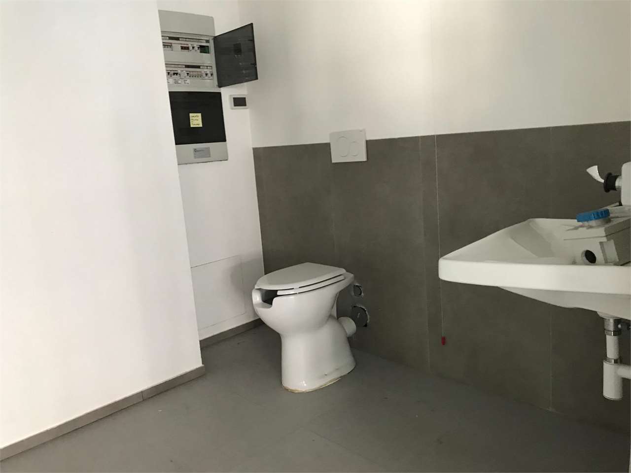 immagine annuncio 6 di 8