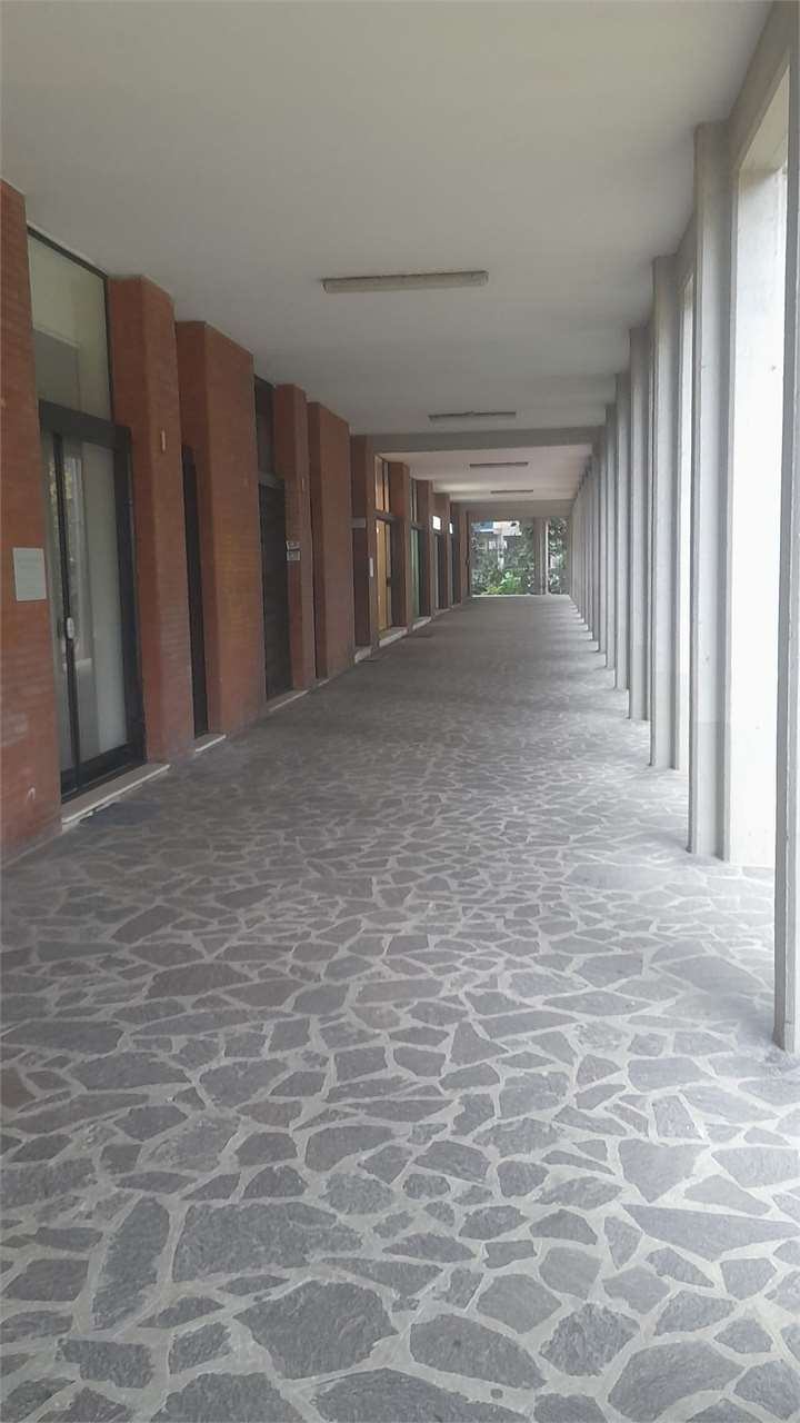 immagine annuncio 5 di 7