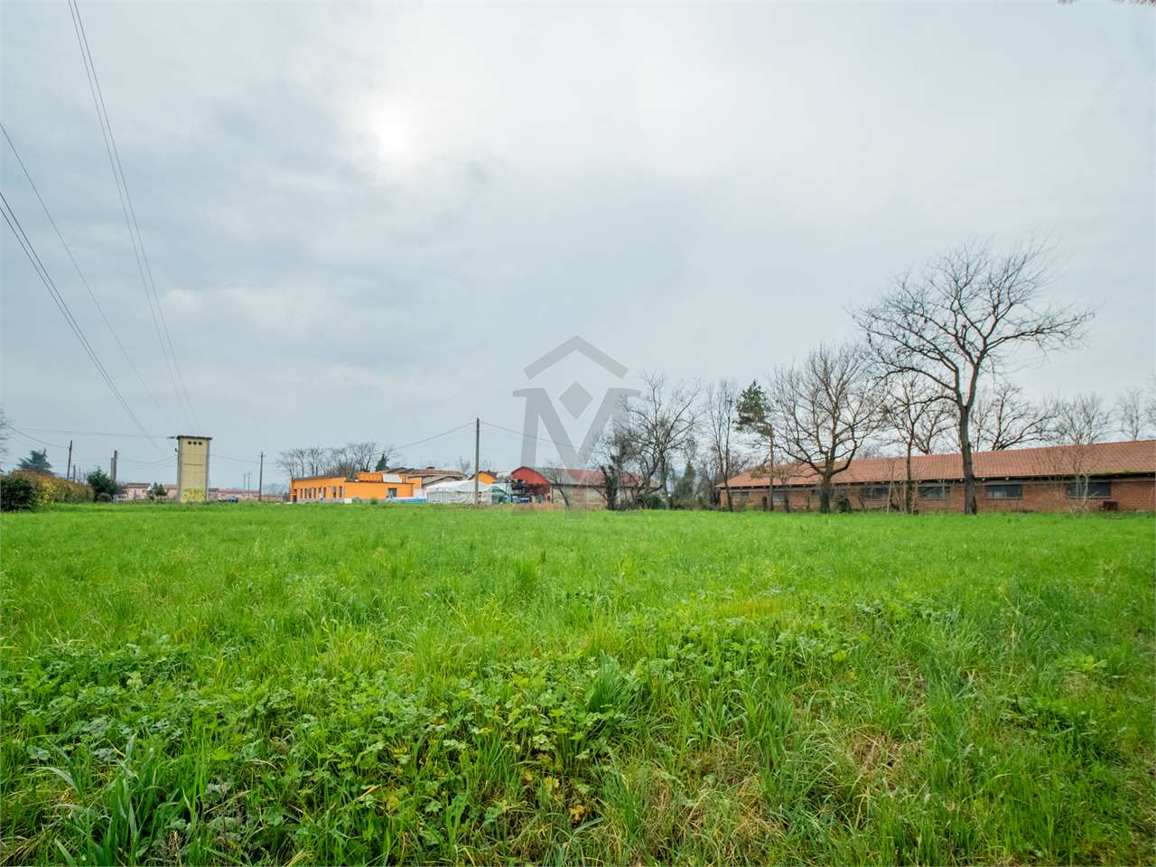 immagine annuncio 5 di 9