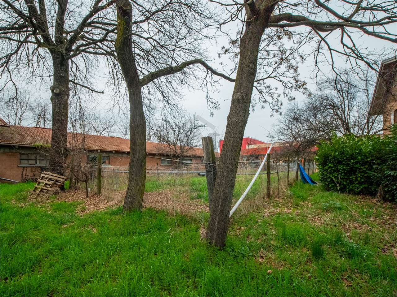 immagine annuncio 6 di 9