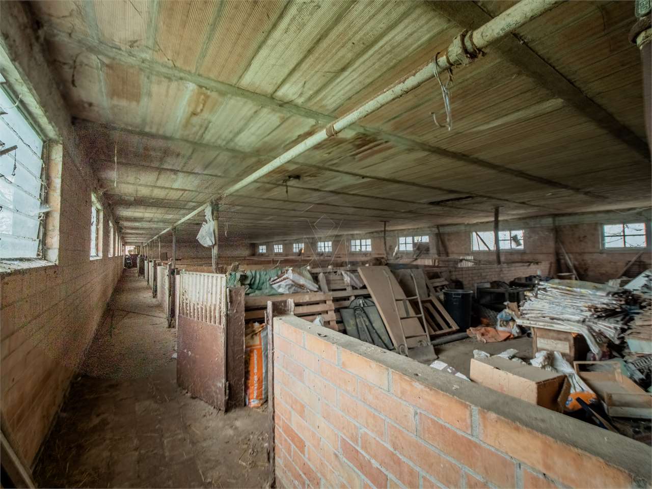 immagine annuncio 4 di 9