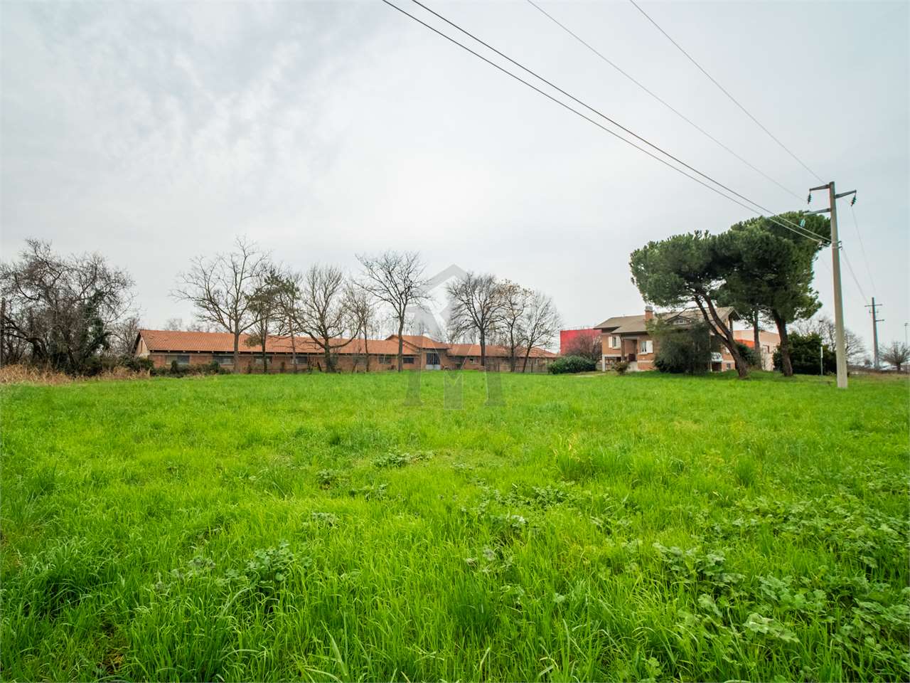 immagine annuncio 2 di 9