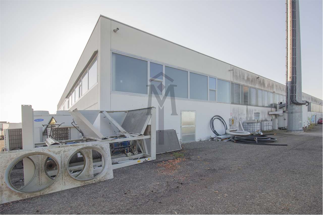 immagine annuncio 3 di 11