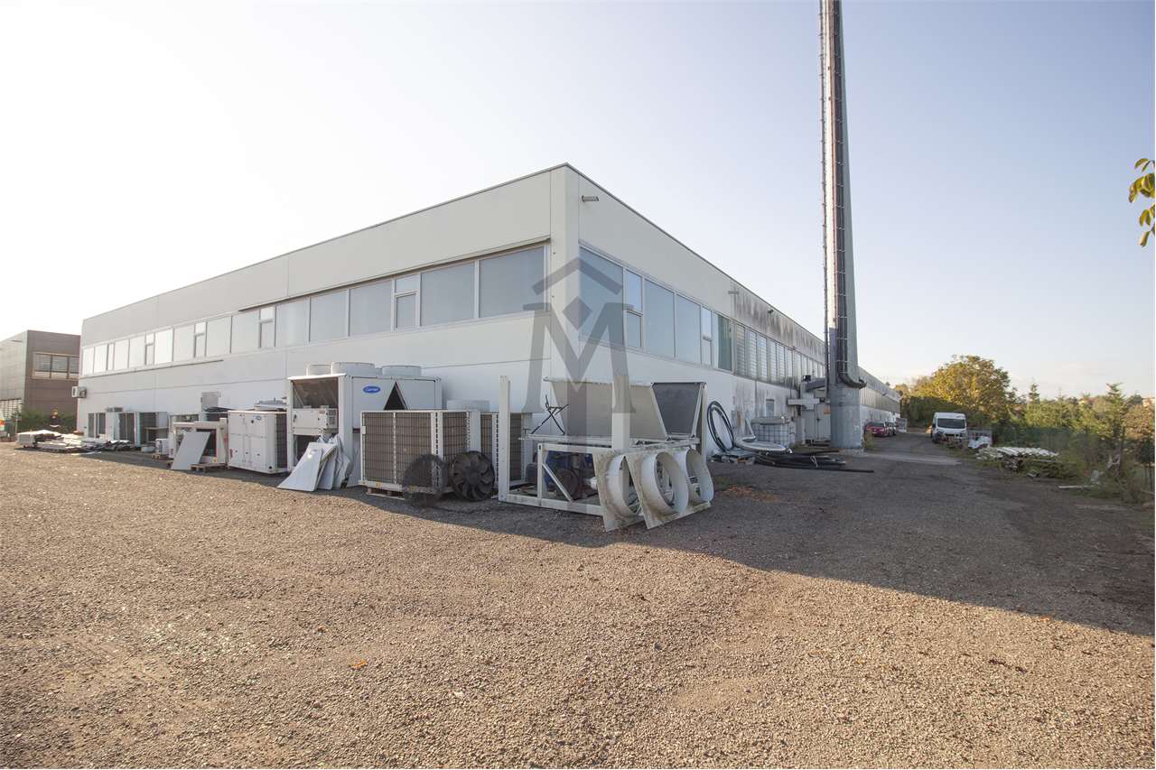 immagine annuncio 2 di 11