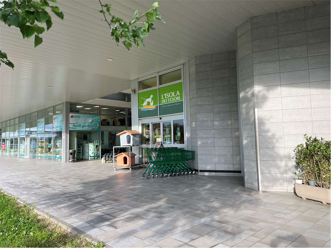 immagine annuncio 2 di 15