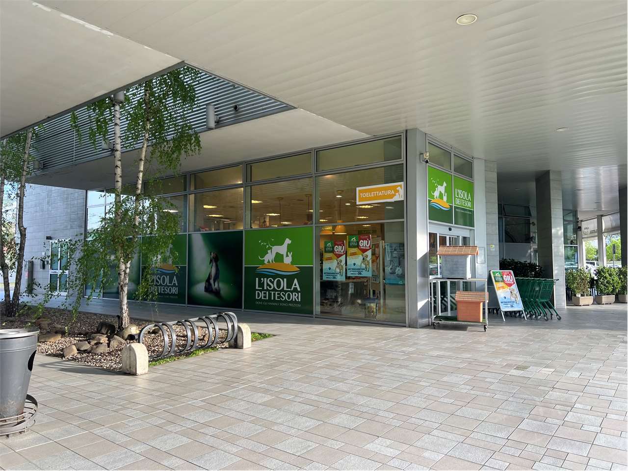 immagine annuncio 1 di 15