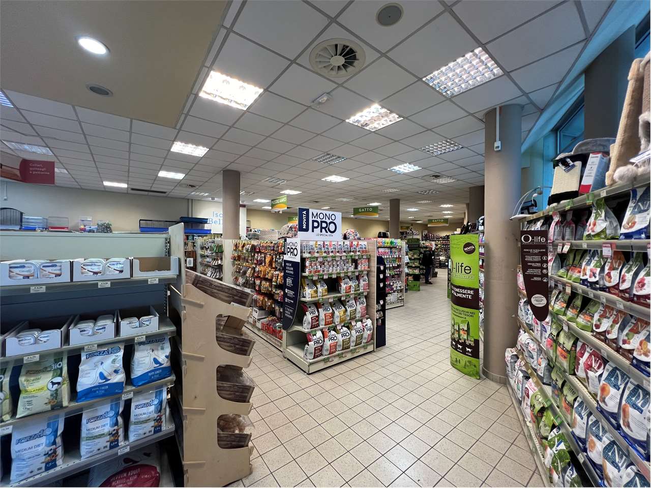 immagine annuncio 6 di 15