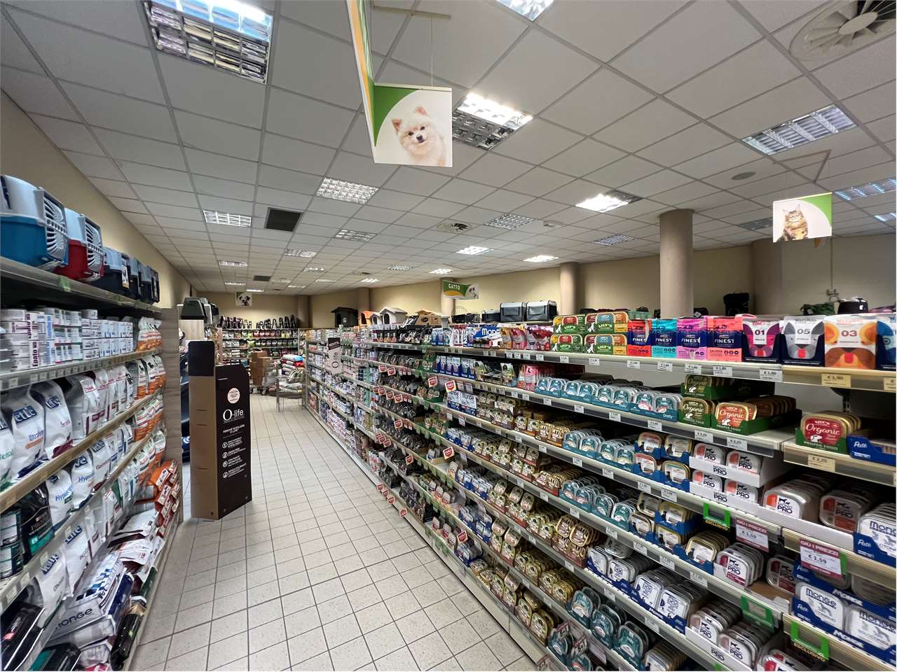 immagine annuncio 7 di 15