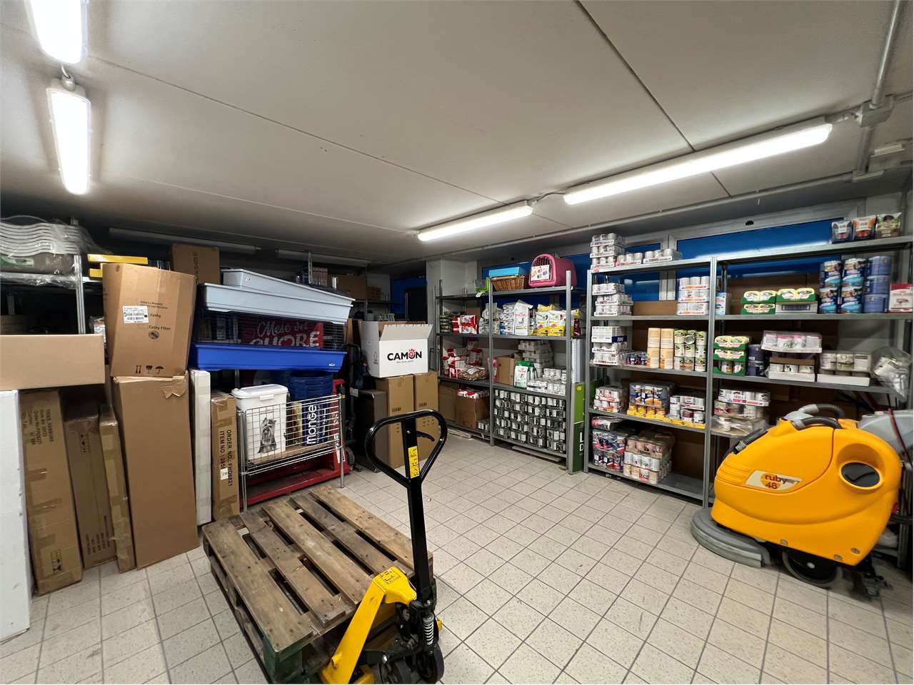 immagine annuncio 9 di 15