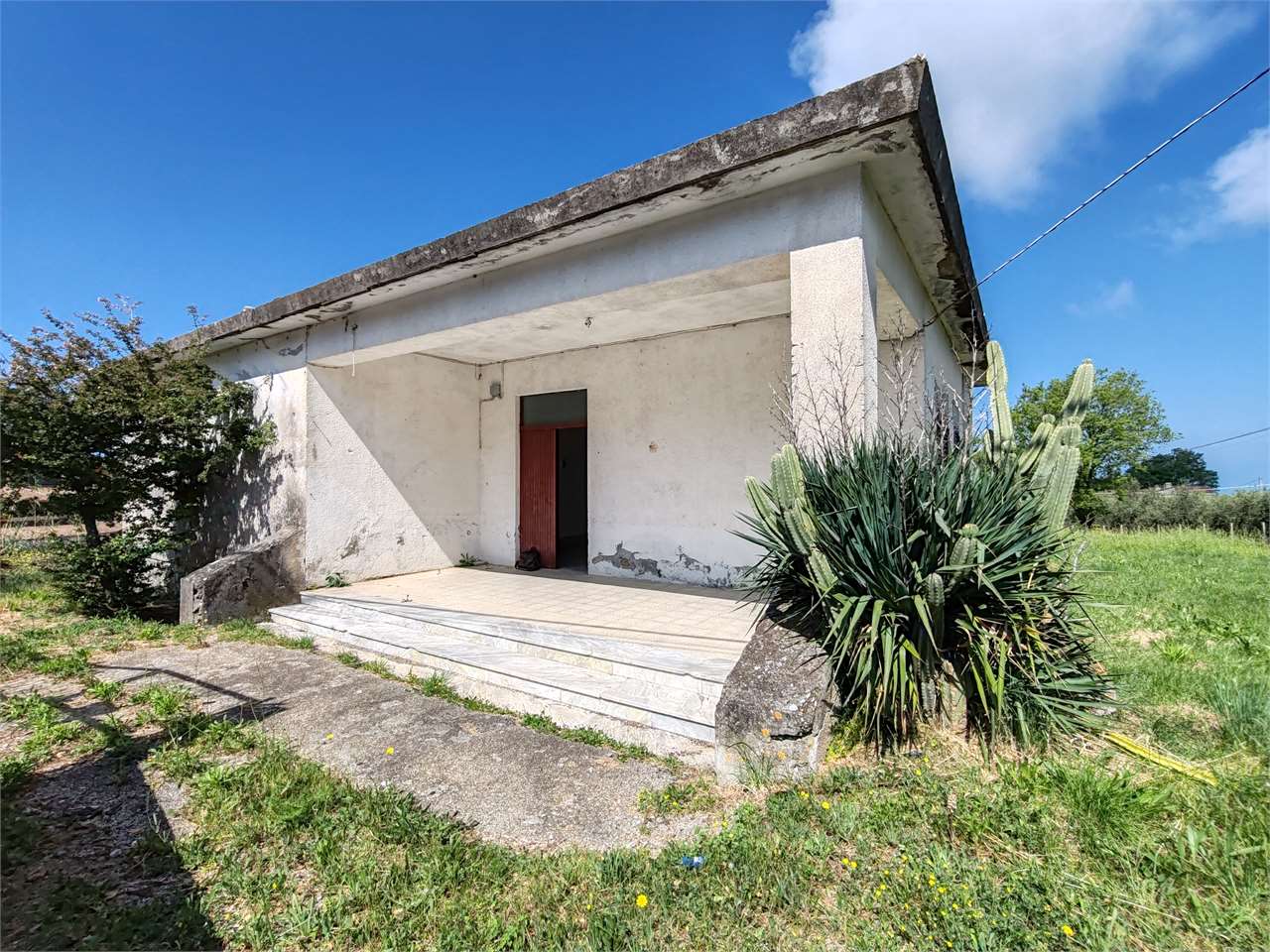 Diamante Vendita Casa singola