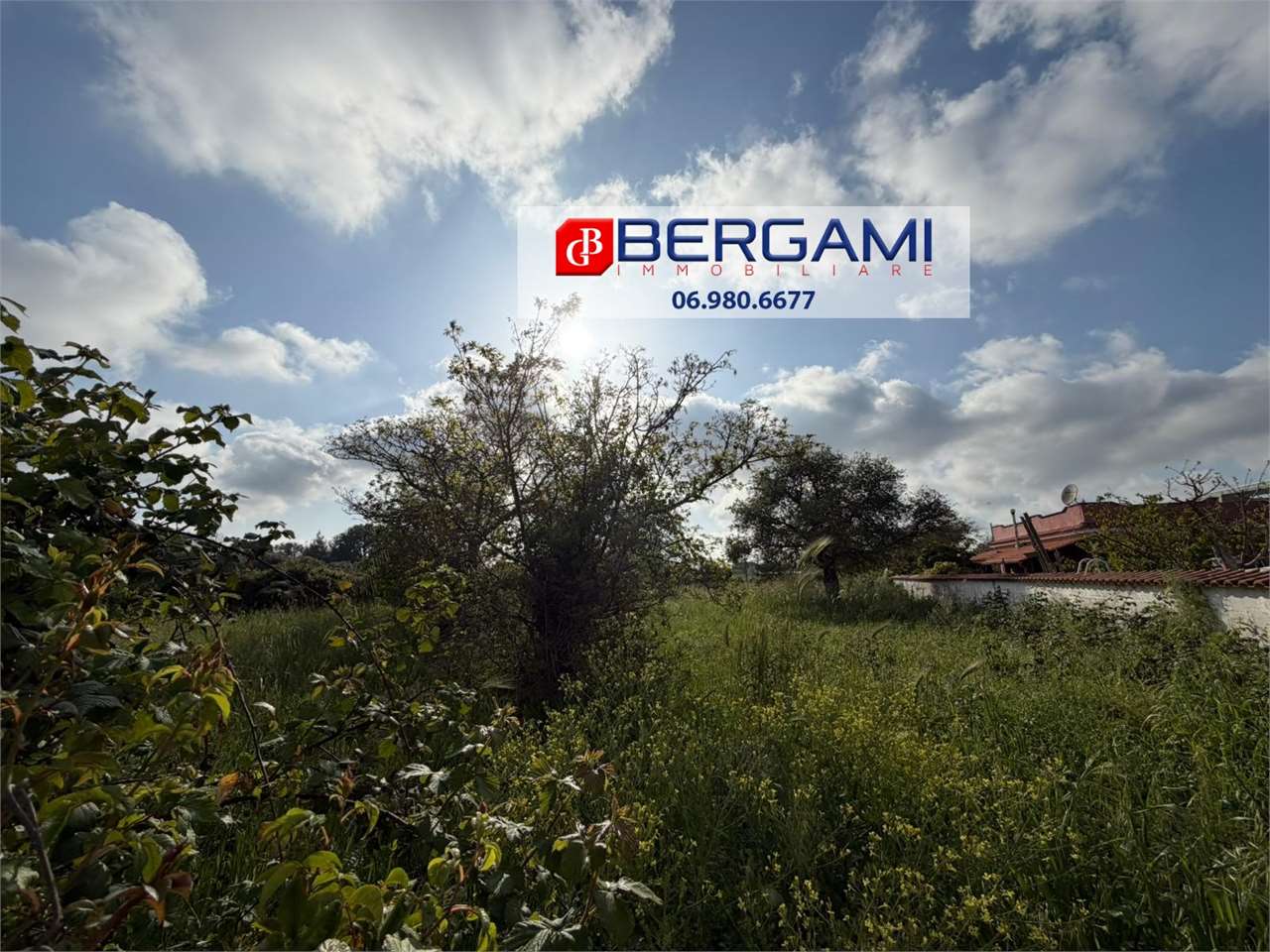 immagine annuncio 8 di 12
