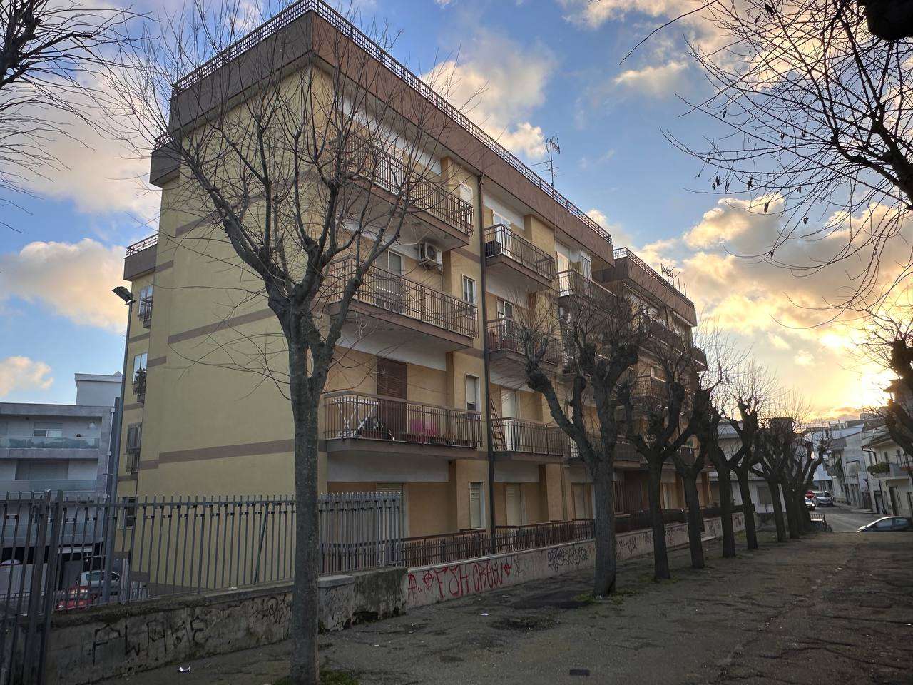 immagine annuncio 1 di 4