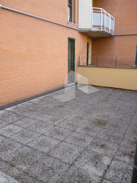 immagine annuncio 12 di 14