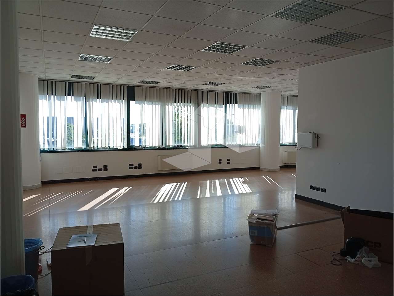 immagine annuncio 13 di 14