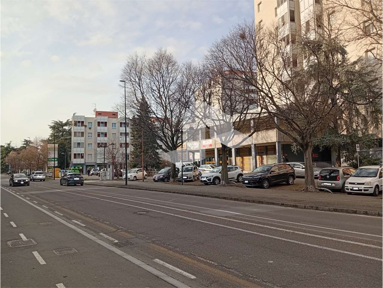 immagine annuncio 2 di 4