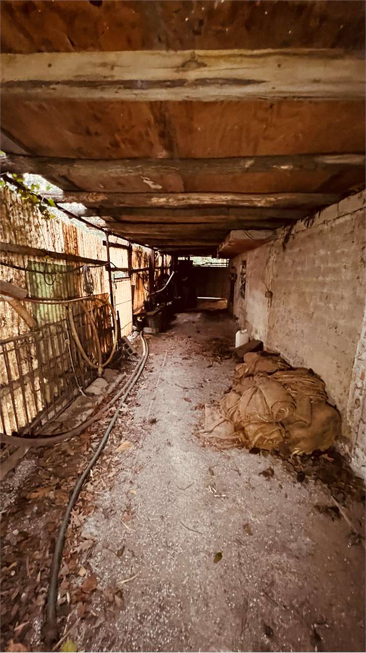 immagine annuncio 5 di 12