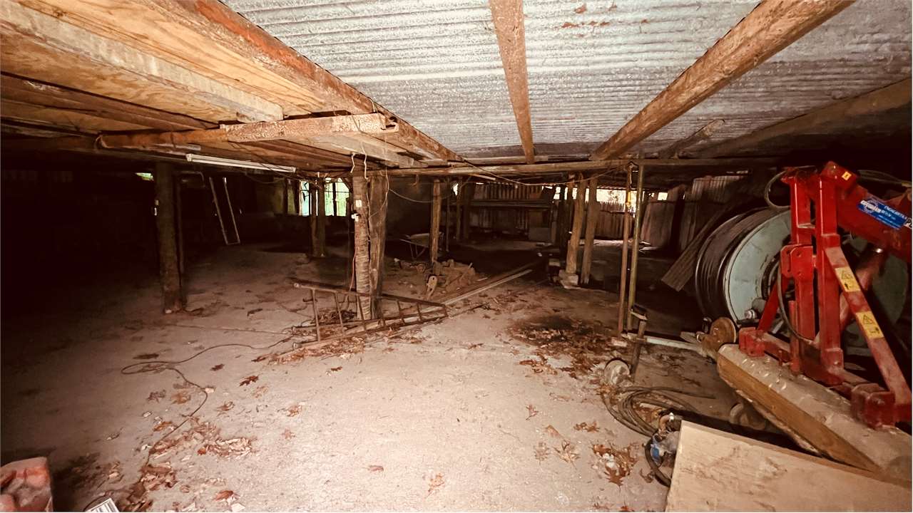 immagine annuncio 9 di 12