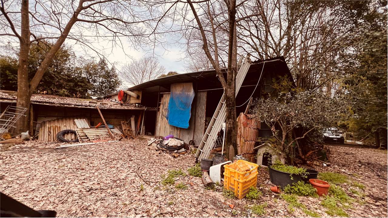 immagine annuncio 3 di 12