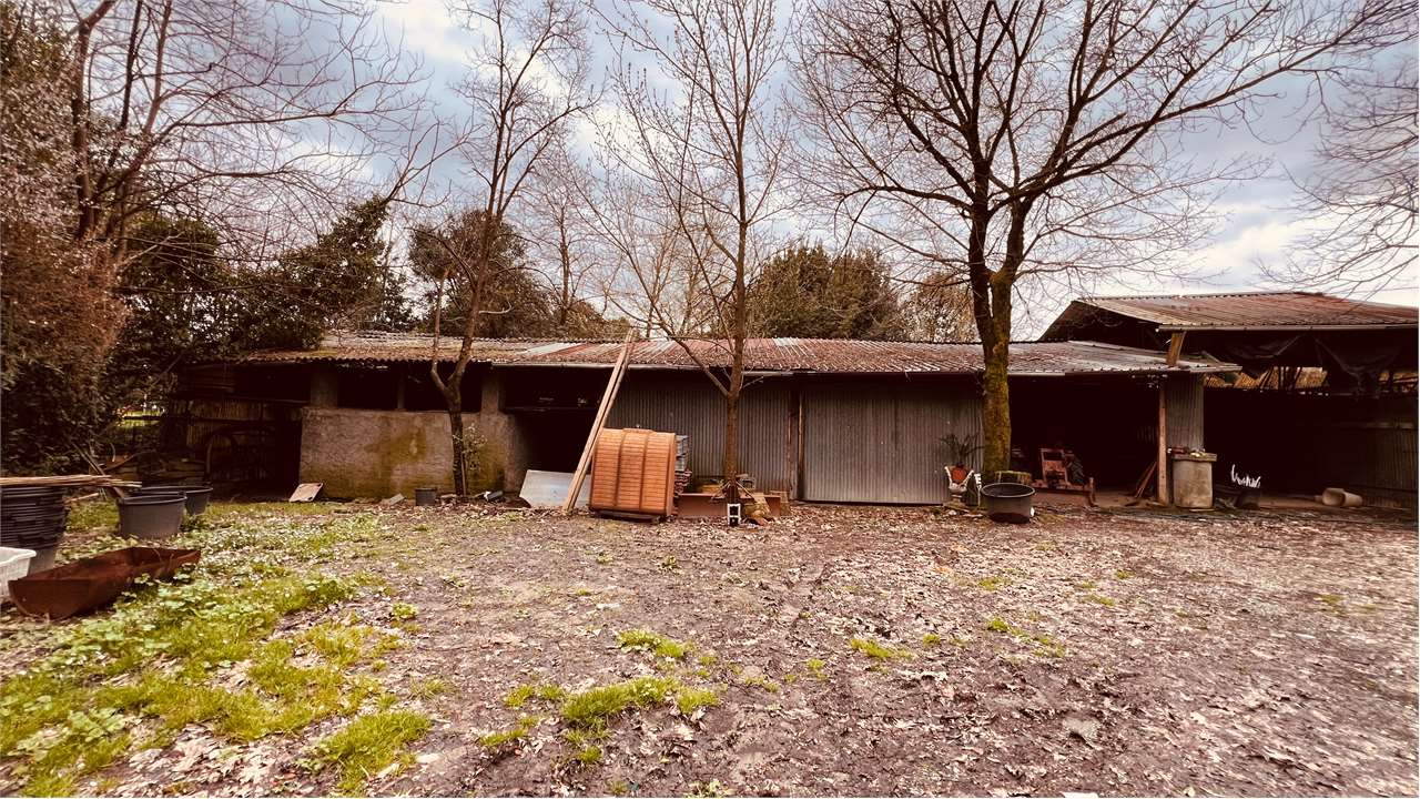 immagine annuncio 4 di 12