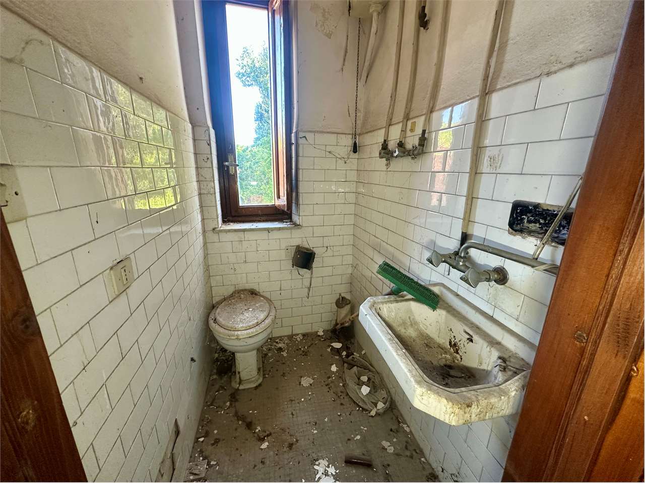 immagine annuncio 5 di 6