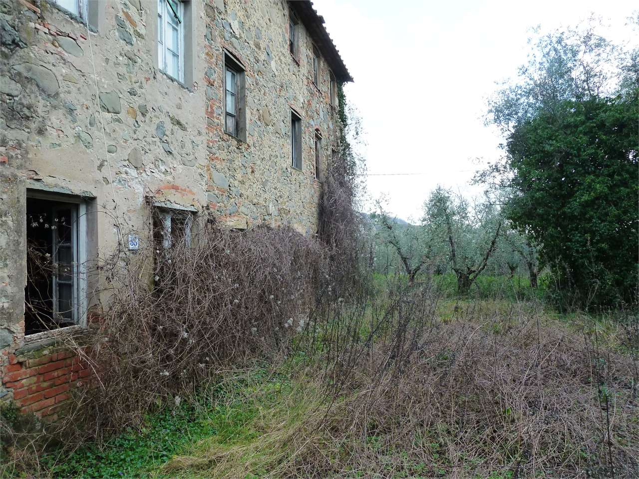 immagine annuncio 1 di 11