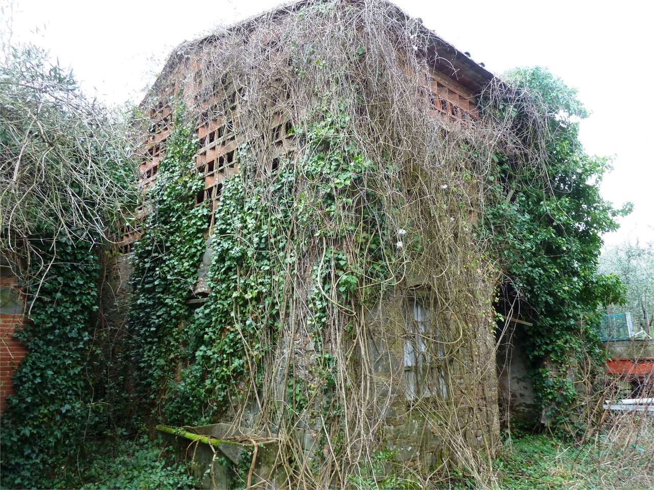 immagine annuncio 2 di 11