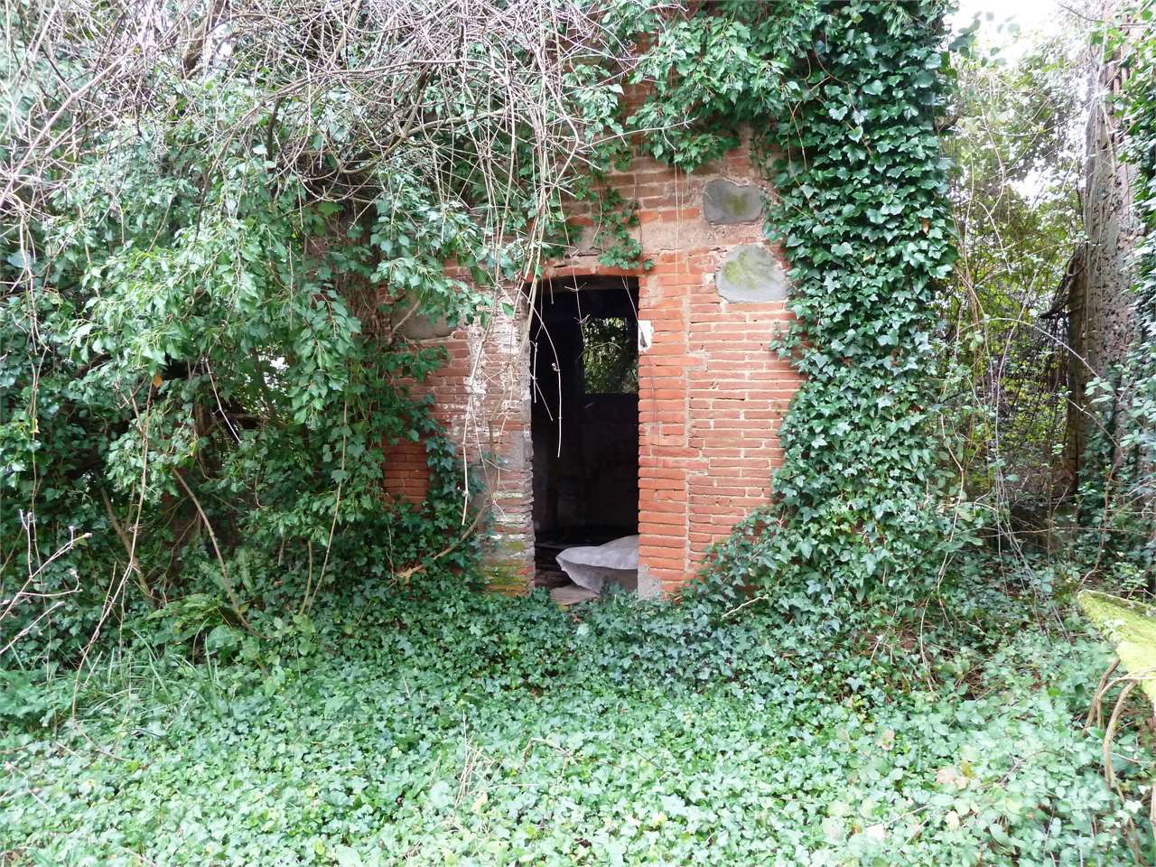 immagine annuncio 5 di 11