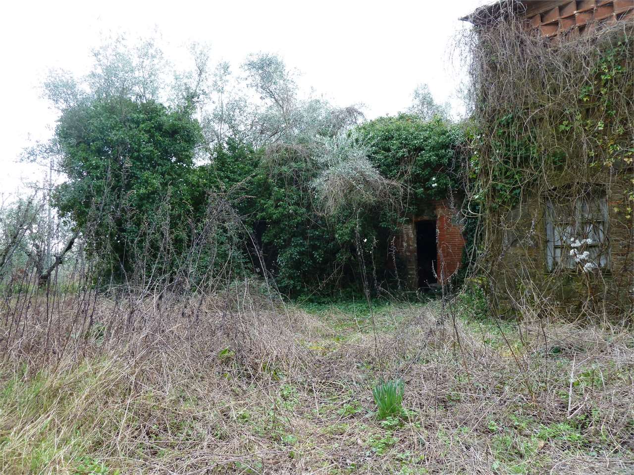 immagine annuncio 6 di 11