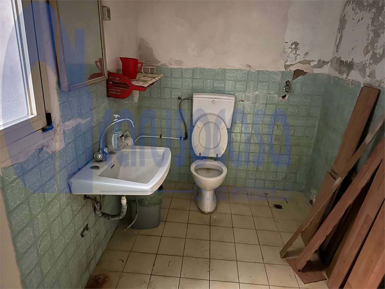 immagine annuncio 10 di 12