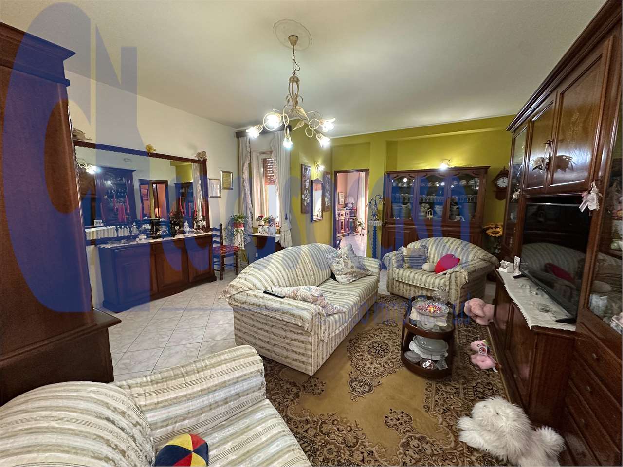 immagine annuncio 2 di 11