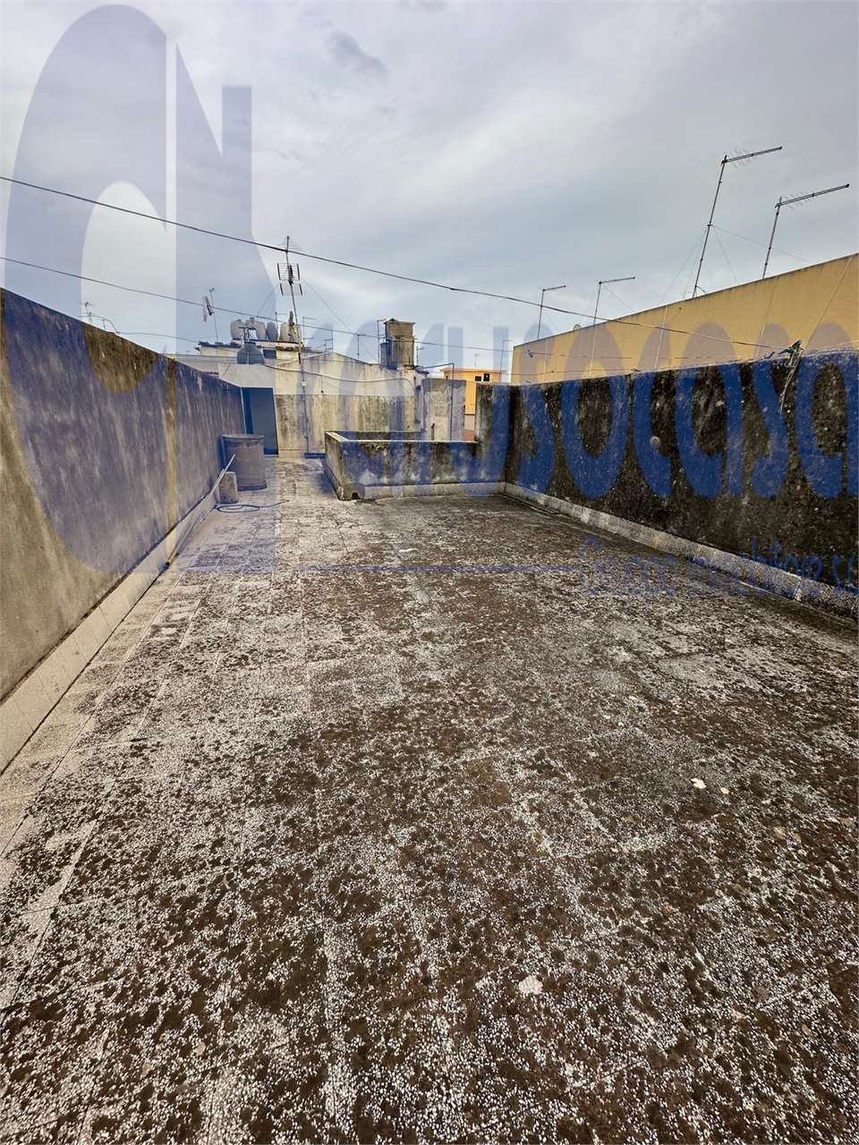 immagine annuncio 2 di 7