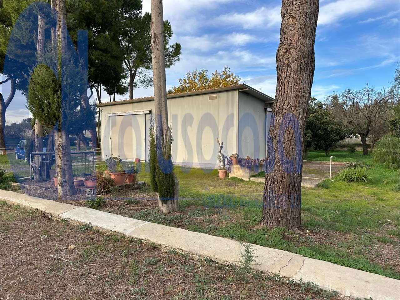 immagine annuncio 2 di 7