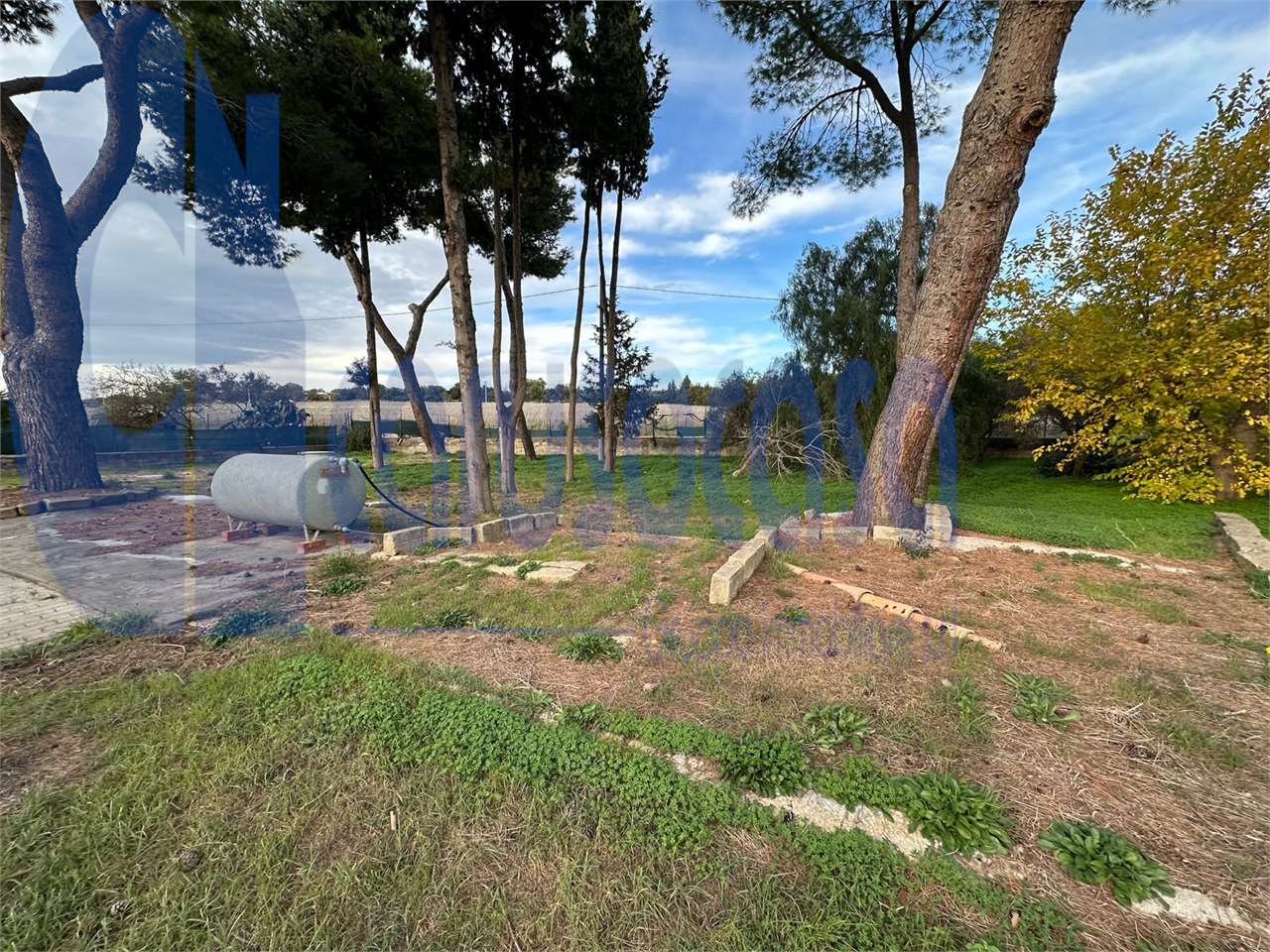 immagine annuncio 5 di 7