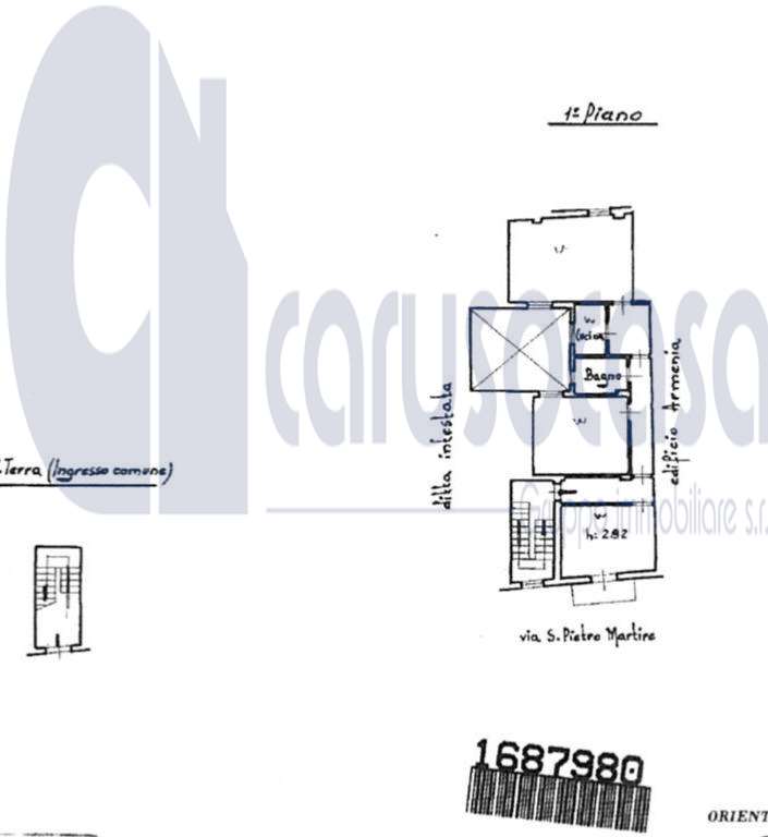 immagine annuncio 12 di 13