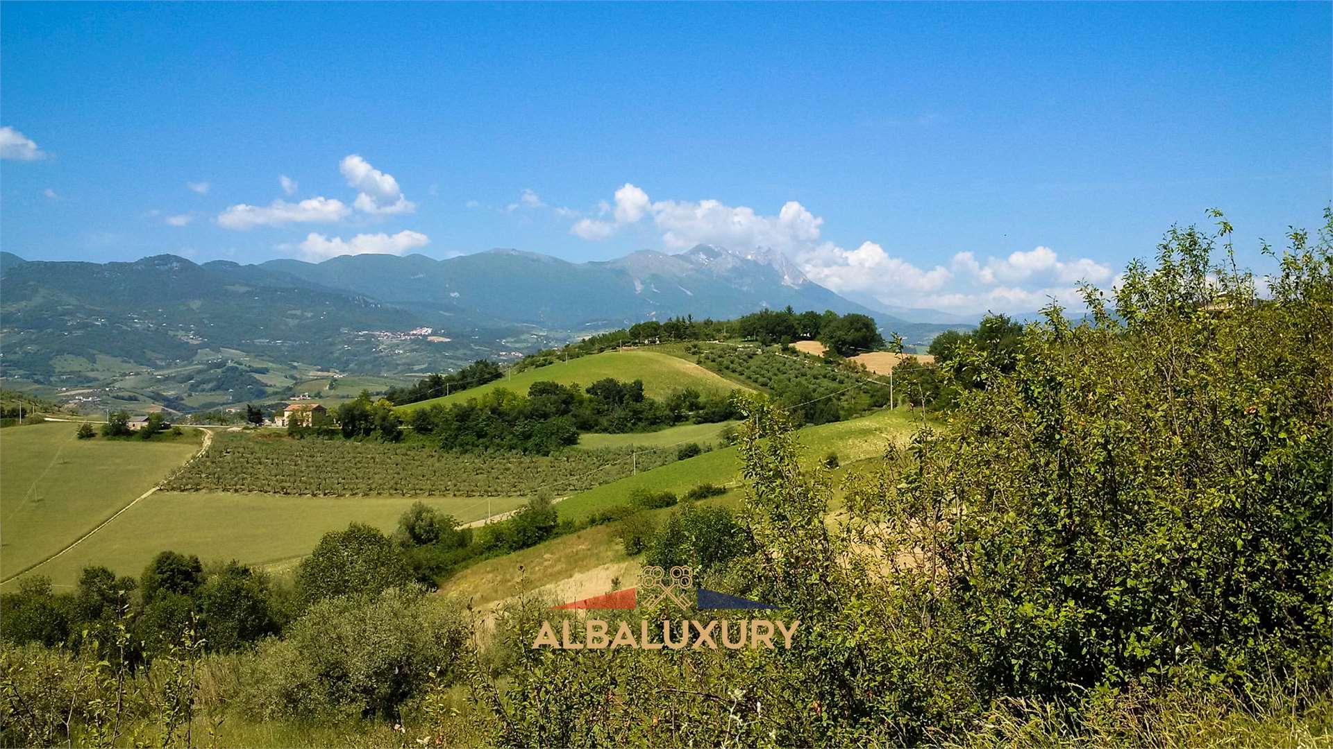 property_image