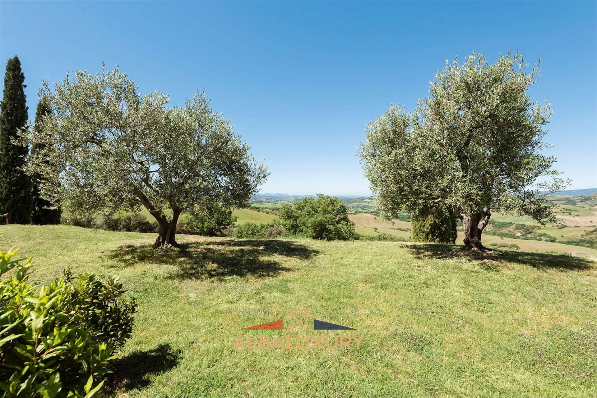 property_image