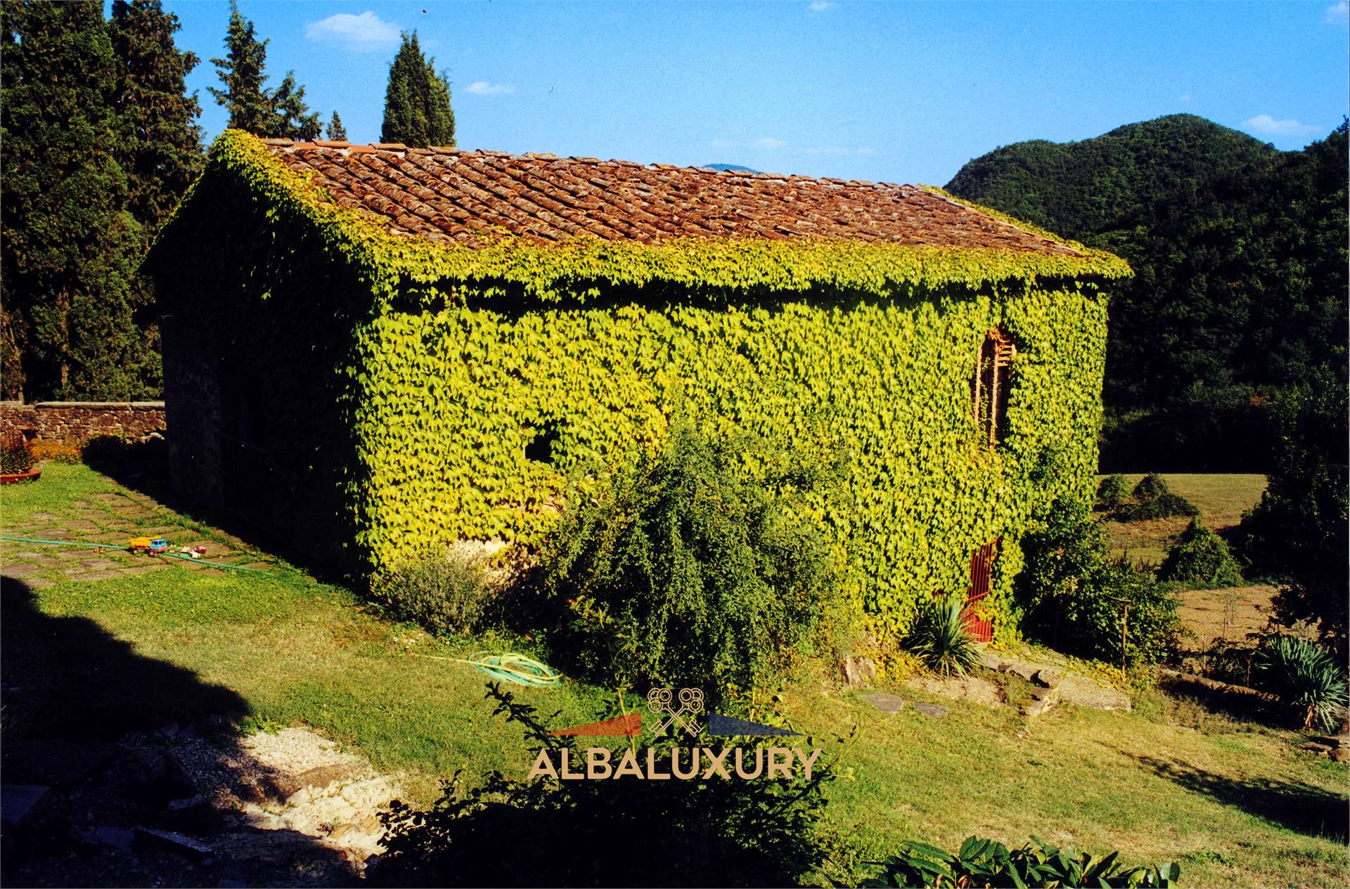 property_image