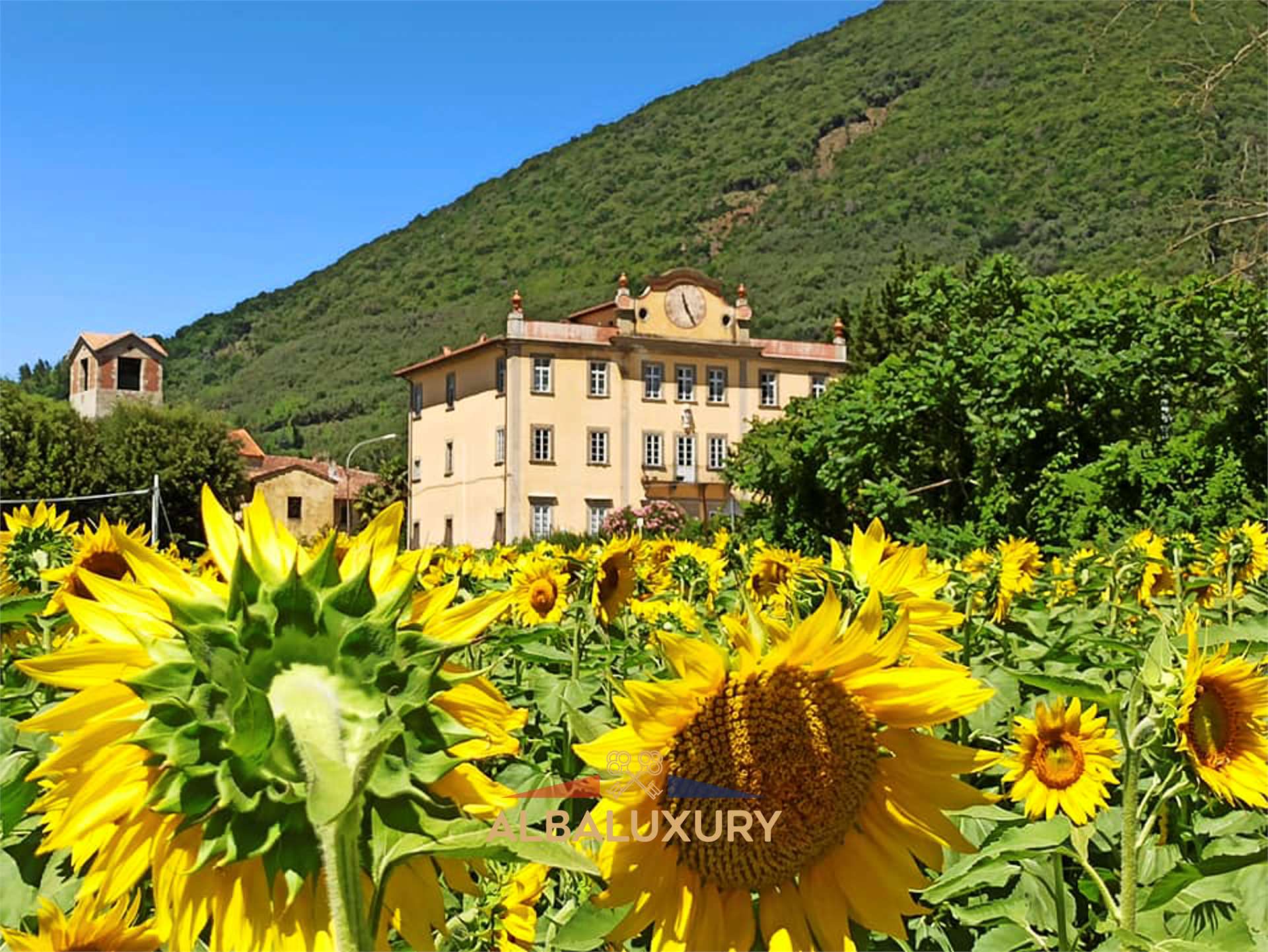 property_image
