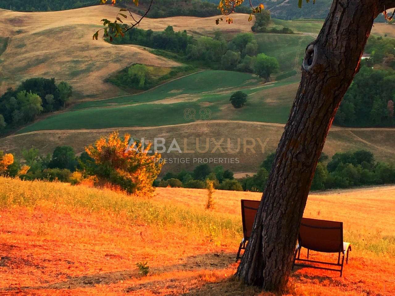 property_image