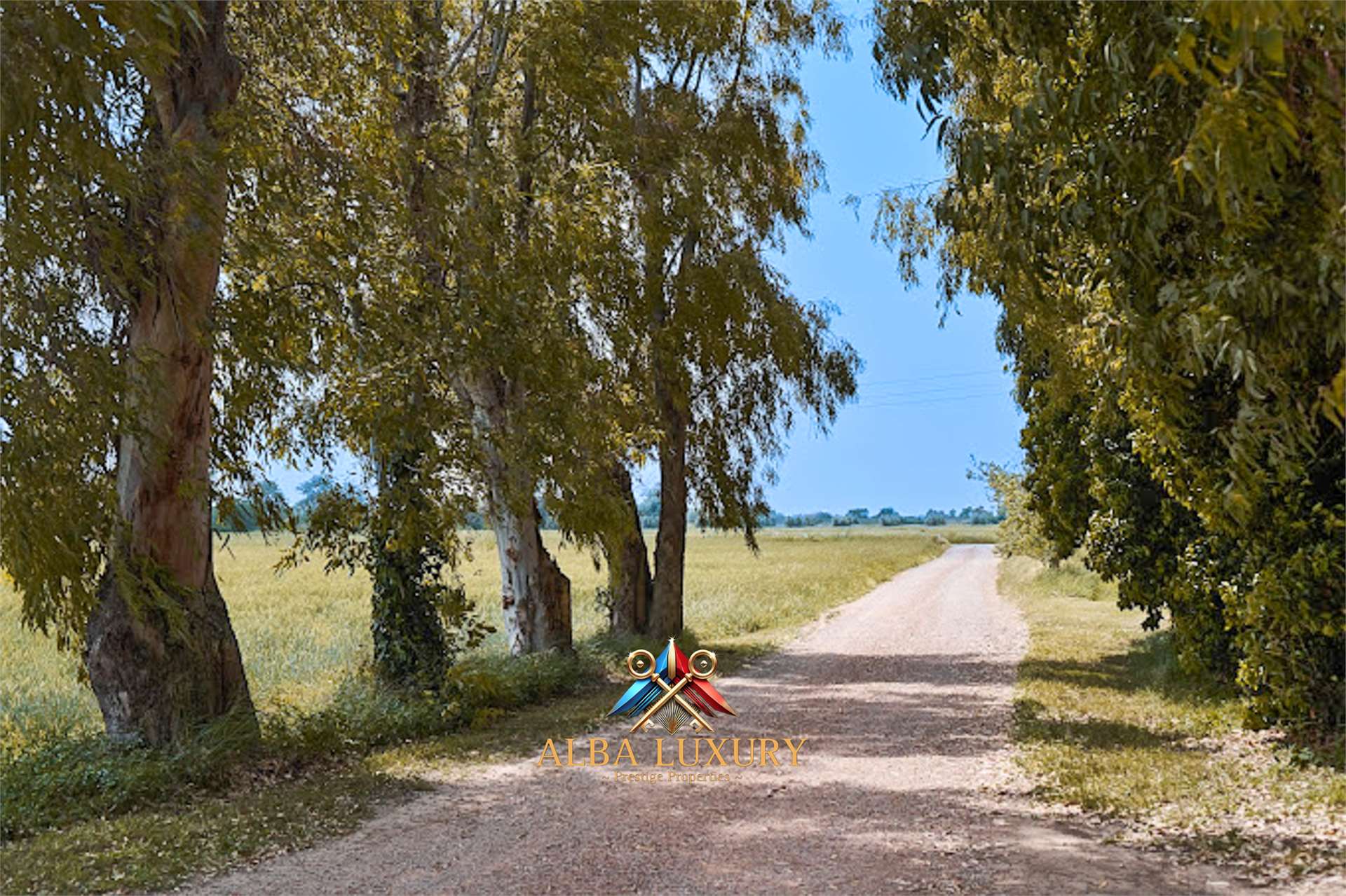 property_image