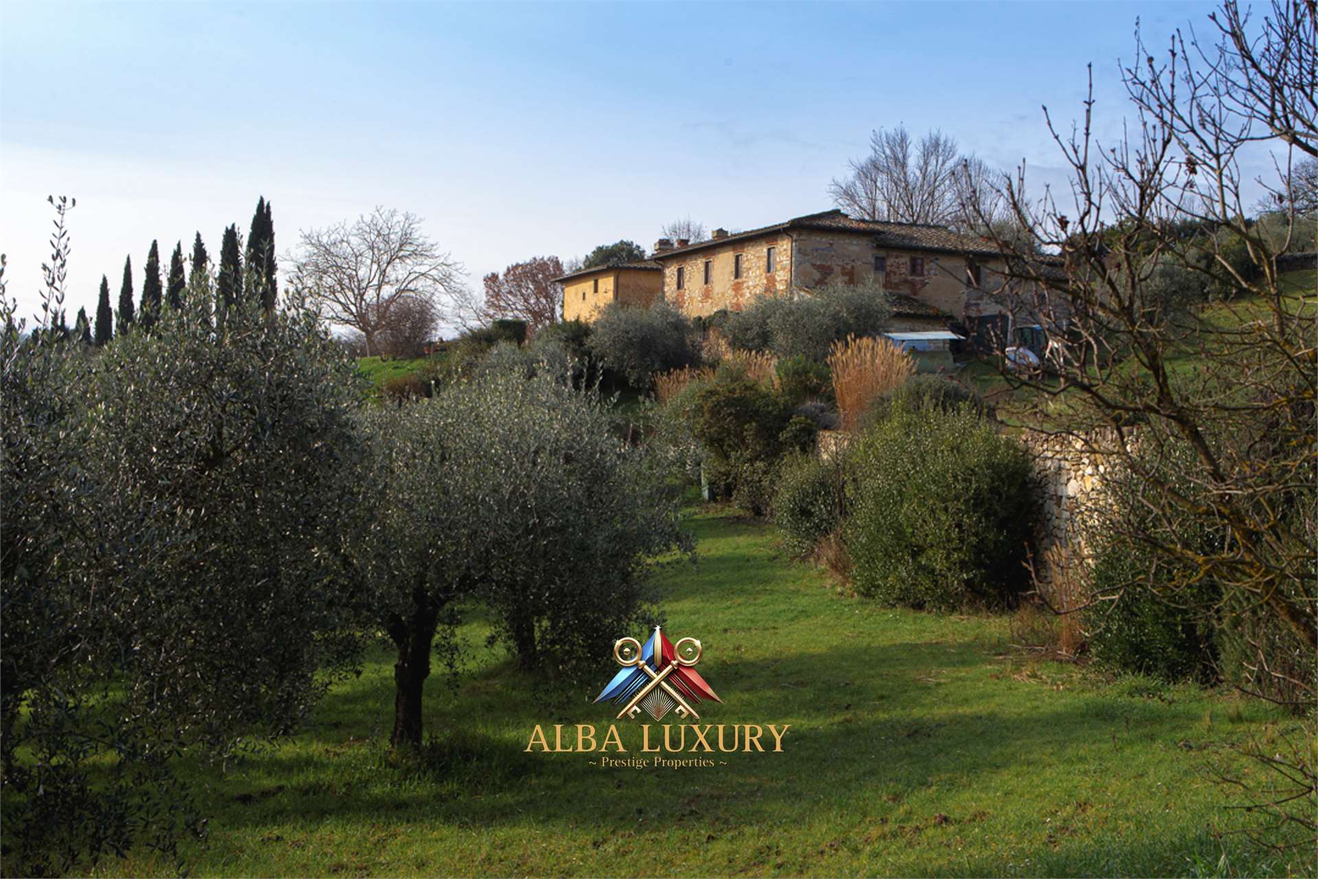 property_image