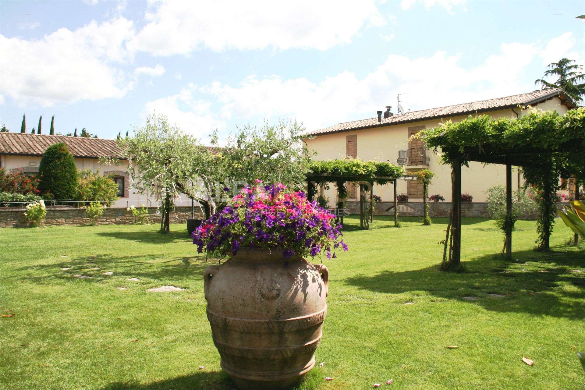 property_image