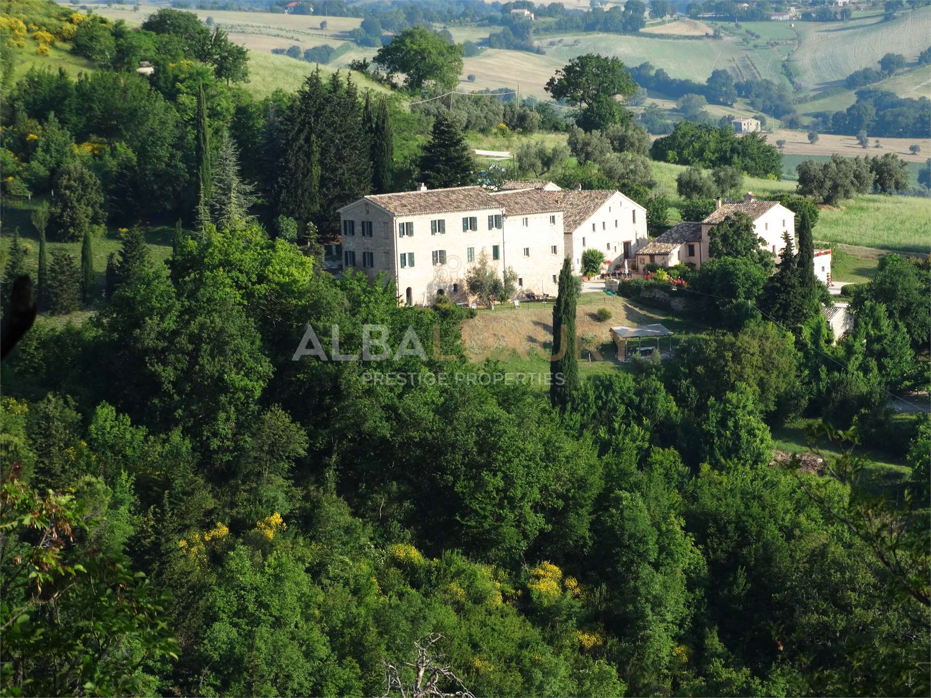 property_image