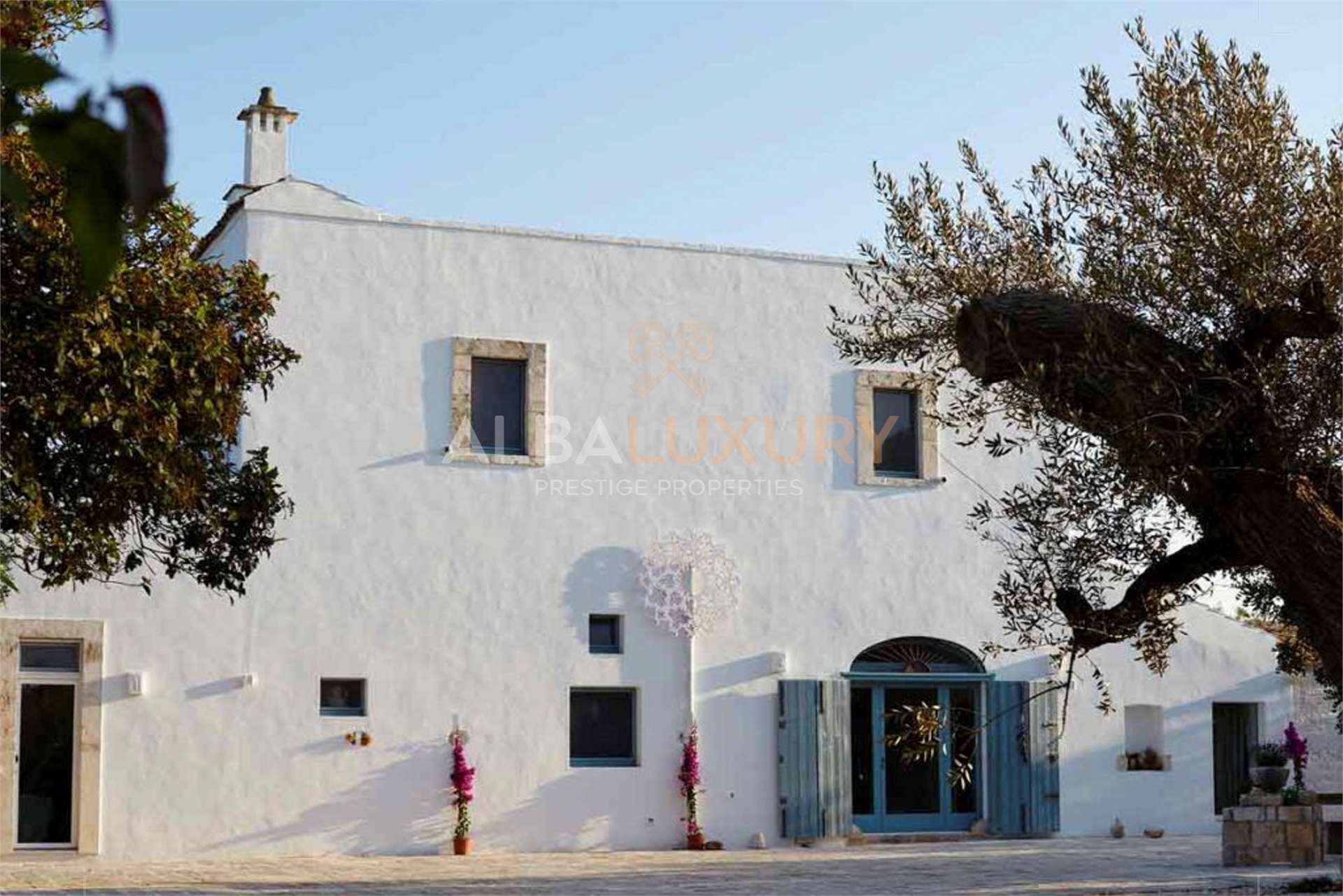 property_image
