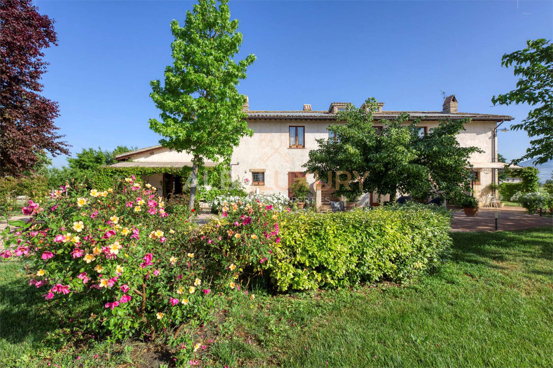 property_image