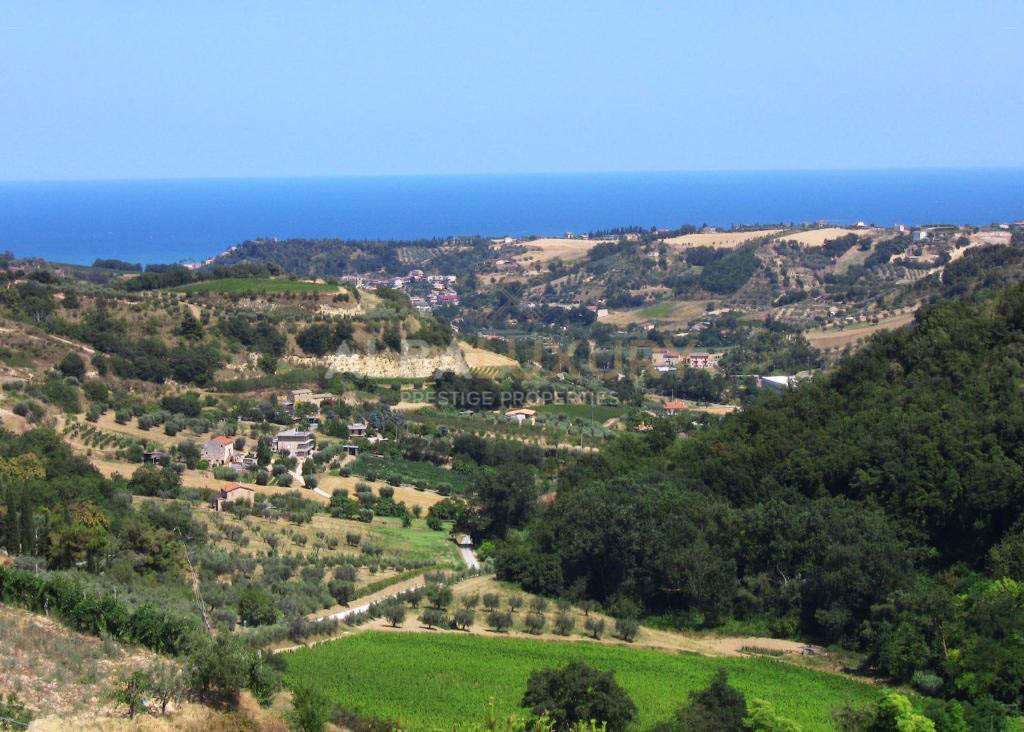 property_image