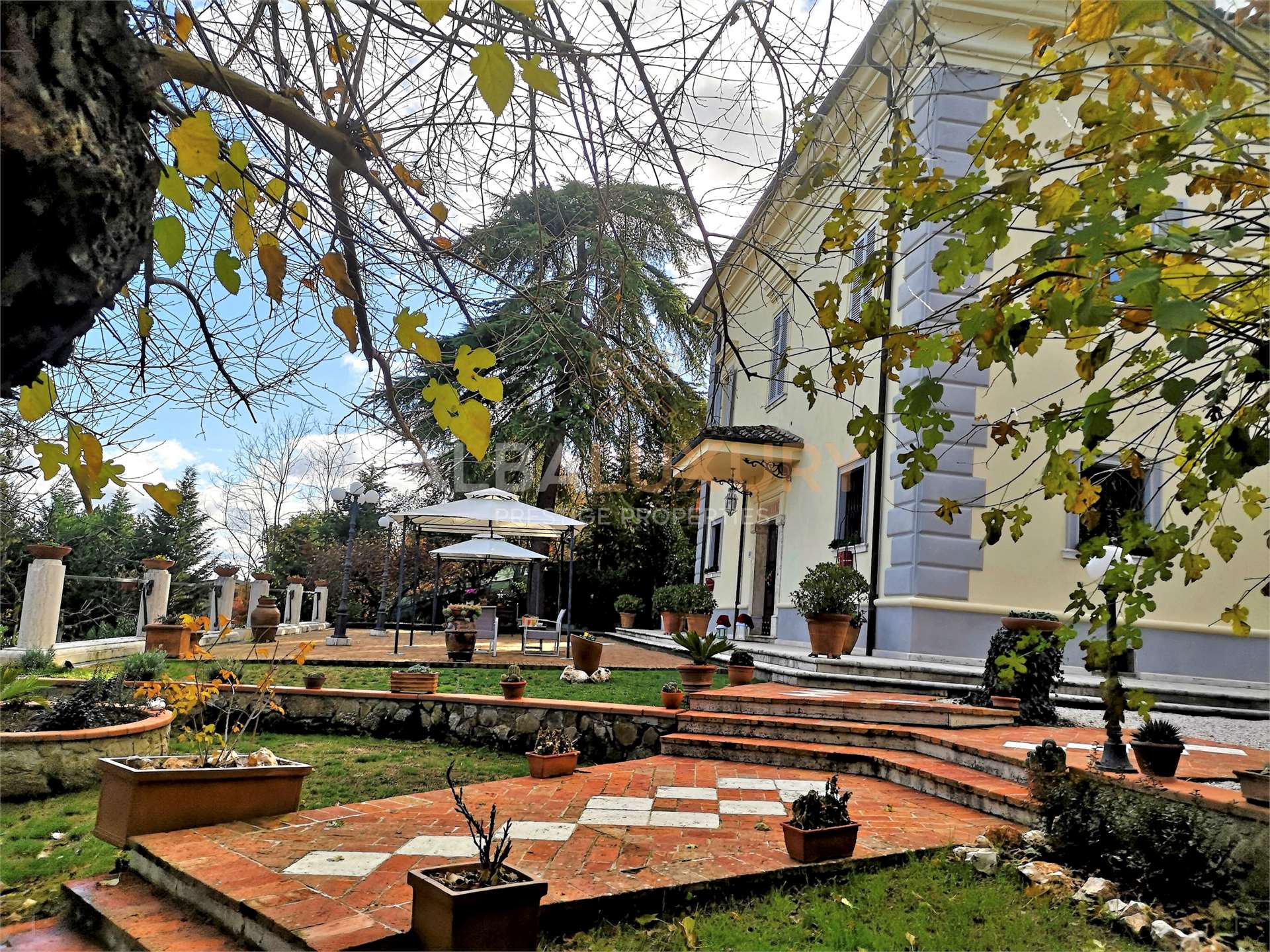 property_image