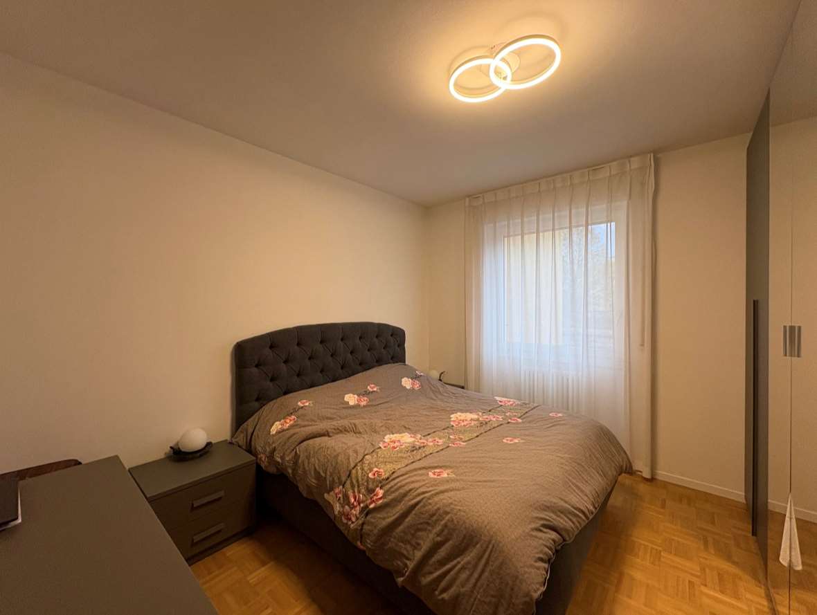 immagine annuncio 6 di 12