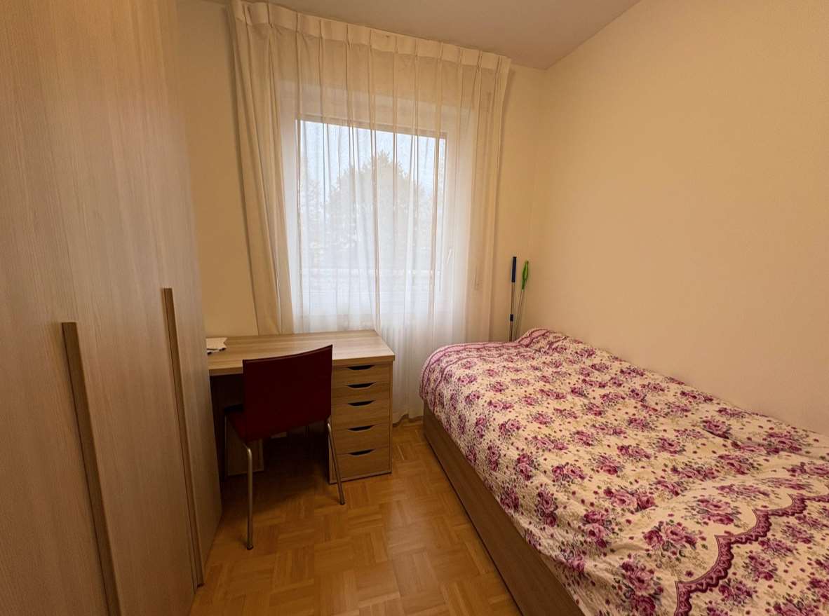 immagine annuncio 8 di 12